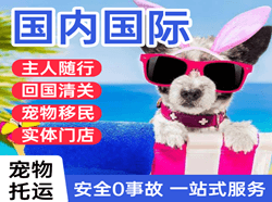 澜沧景迈空运公司国际宠物托运 【国